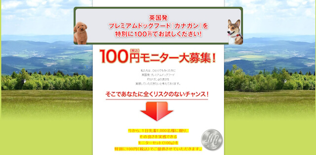 カナガン 100円モニター