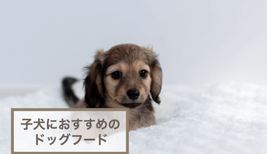 子犬(パピー)用ドッグフードおすすめランキング25選｜人気のフードを一挙紹介