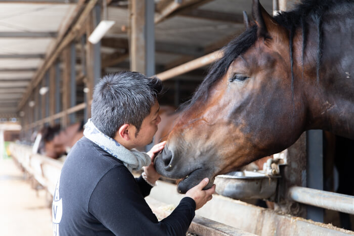 馬肉自然づくりドッグフードの肥育牧場の馬と鈴木田さん2