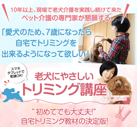 シニア犬のためのトリミング講座 ペットケアステーション大阪