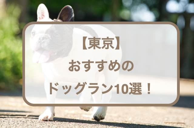 【東京】おすすめのドッグラン10選！無料・広い・芝生などをご紹介！