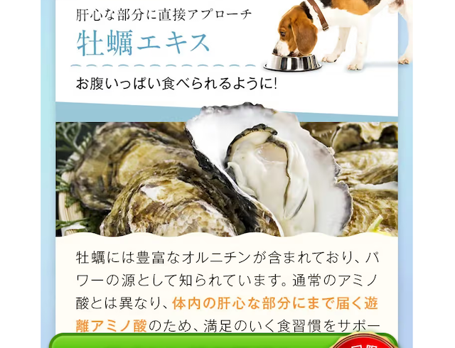 牡蠣エキス配合のカームワン