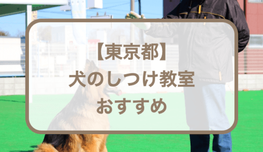 【東京都】犬のしつけ教室おすすめ10選！選ぶときのポイントも