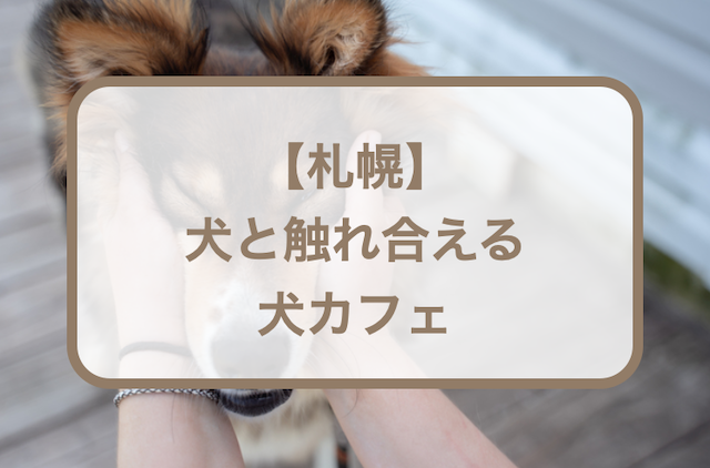犬 と 触れ合える 札幌