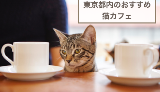 東京都内のおすすめ猫カフェ7選！【犬猫好き必見特集】