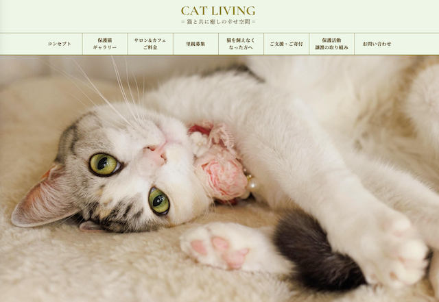 保護猫サロン&カフェ CAT LIVING