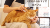 大阪府内のおすすめの猫カフェ5選！選び方や注意点などもご紹介