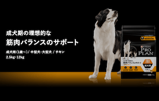 ピュリナ プロプラン 中型犬・大型犬用 商品画像
