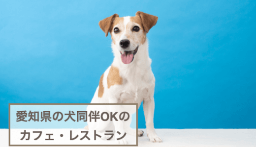 愛知県の犬同伴OKのカフェ・レストランおすすめ7選！