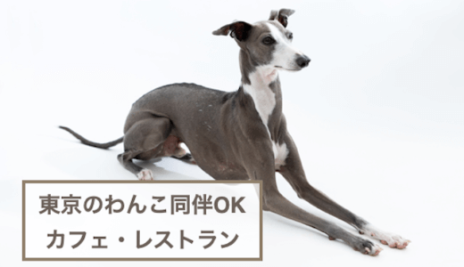 東京の犬同伴OKのカフェ・レストラン6選！愛犬とのおでかけに