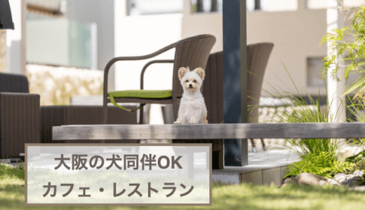 大阪の犬同伴OKのカフェ・レストラン5選！愛犬とのおでかけに