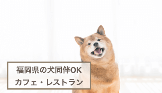 福岡県の犬同伴OKのカフェ・レストラン5選！愛犬とのおでかけに