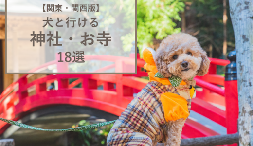 【関東・関西版】愛犬と一緒に行ける神社・寺院18選！神社と犬の関係、参拝方法も解説