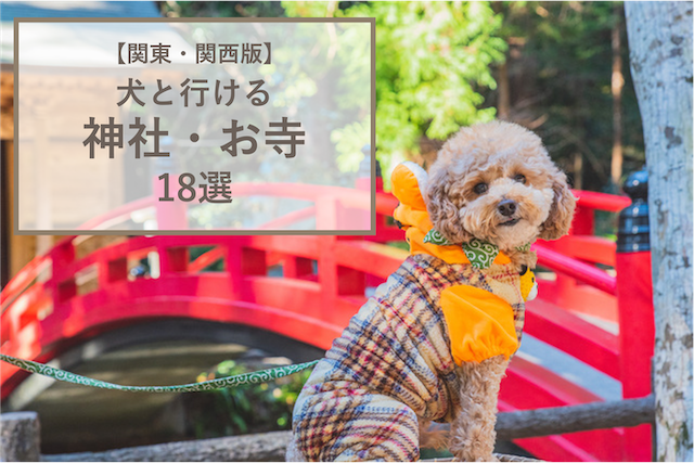 【関東・関西版】愛犬と一緒に行ける神社・寺院18選！神社と犬の関係、参拝方法も解説