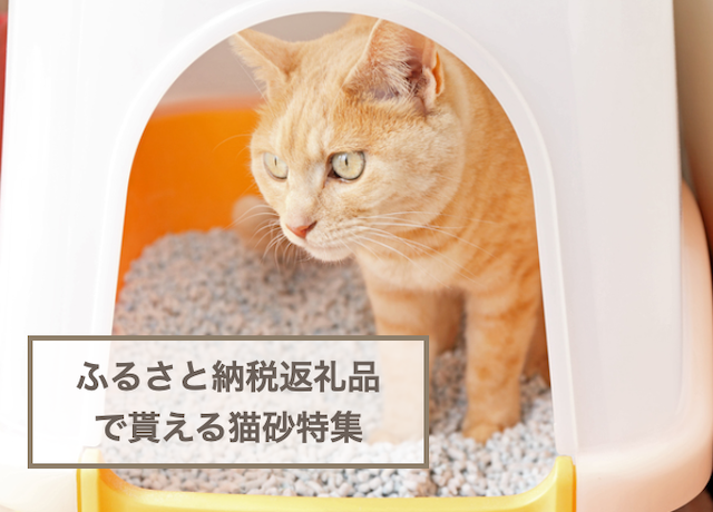 ふるさと納税返礼品で貰える猫砂おすすめ5選！犬や猫の快適なトイレ環境を作るためのグッズ