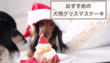 犬用クリスマスケーキおすすめ5選！無添加のペット用ケーキなどをご紹介