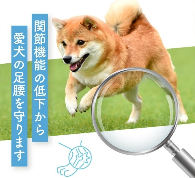 Dr.ケアワンドッグフード_コンドロイチン