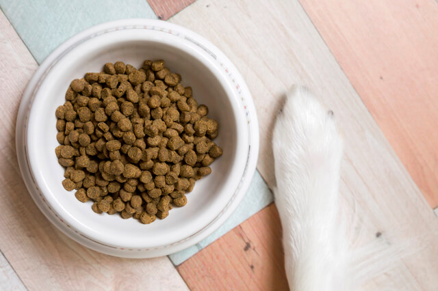 鹿肉ドッグフードの選び方