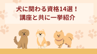 【犬の資格一覧】犬に関わる資格14選！講座と共に一挙紹介