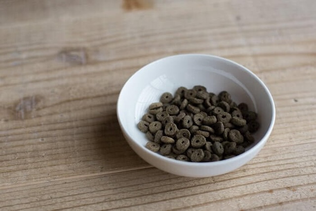 お皿に入ったアランズナチュラルドッグフード