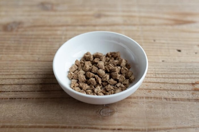 お皿に入れられたドッグフード工房