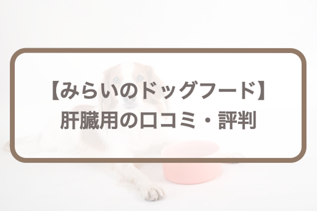 肝臓疾患 小粒 未使用未開封