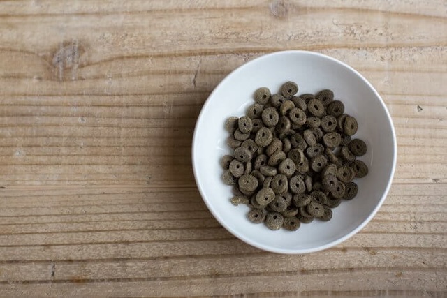 アランズナチュラルドッグフード