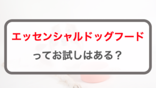 エッセンシャルドッグフードをお試しする方法！楽天では扱ってる？