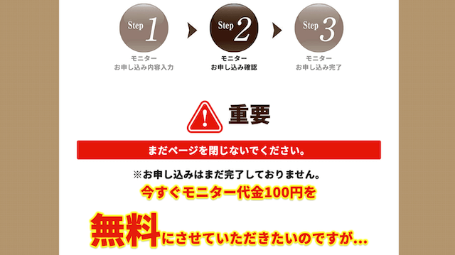 カナガンの100円モニターの内容確認ページが表示される画面