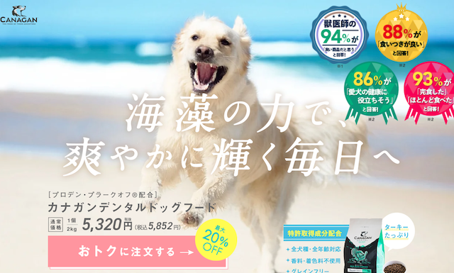 カナガンデンタル