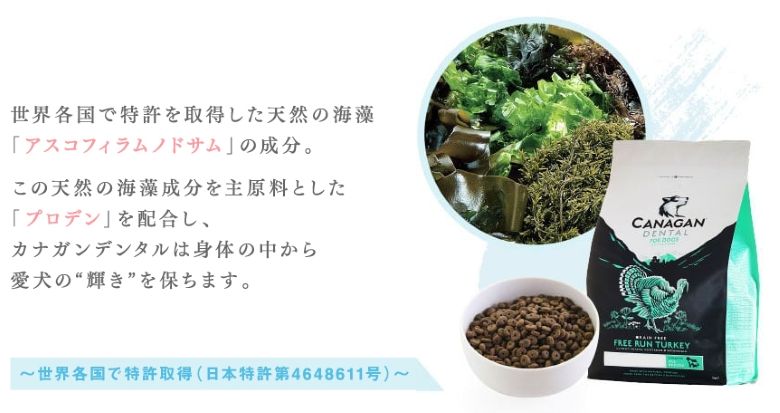 カナガンデンタル_プロデン・プラークオフ