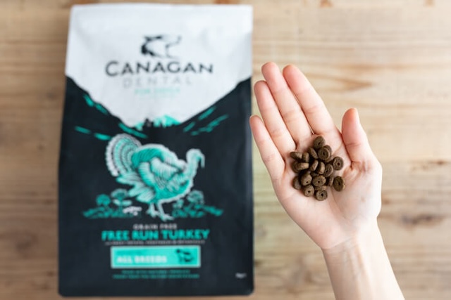 カナガンデンタルドッグフードと粒