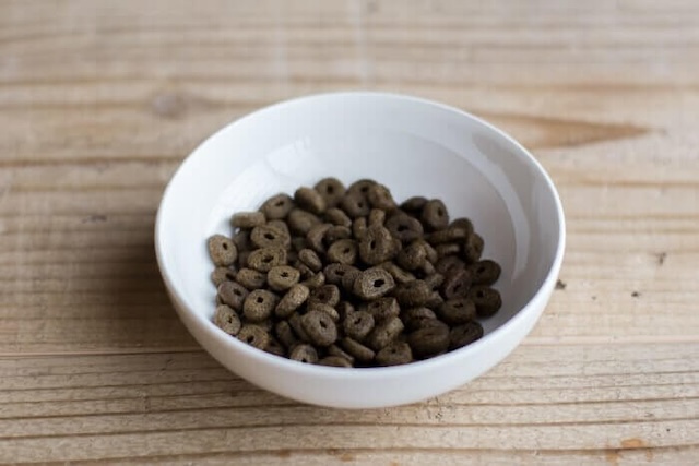 カナガンドッグフード