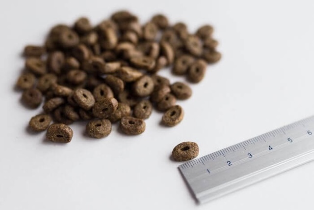 カナガンドッグフードの粒のサイズ