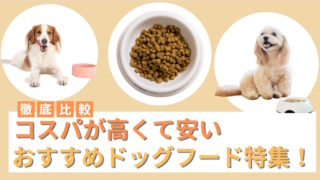 コスパが良くて安いドッグフードおすすめ25選！ホームセンターで買えるフードも紹介