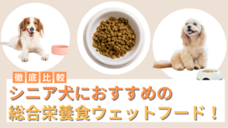 シニア犬におすすめの総合栄養食のウェットフード7選！フードの選び方も