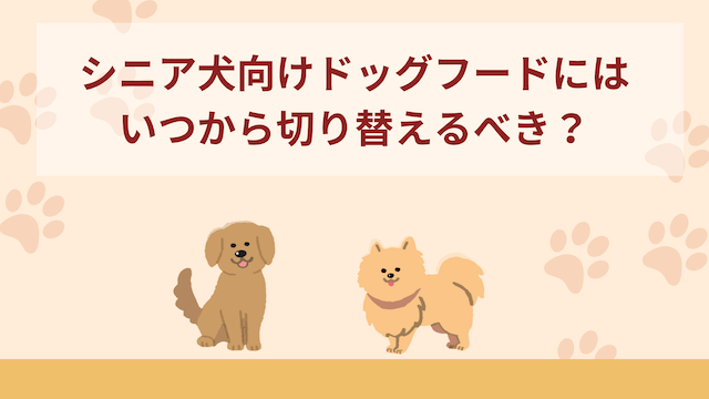 シニア犬向けフードにはいつから切り替えるべき？与える際のポイント