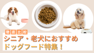 シニア用ドッグフードおすすめランキング25選｜老犬に評判・人気の餌は？