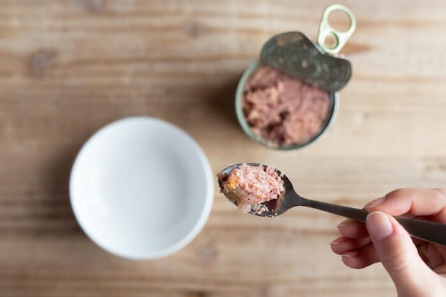 スプーンですくわれたカナガンウェット