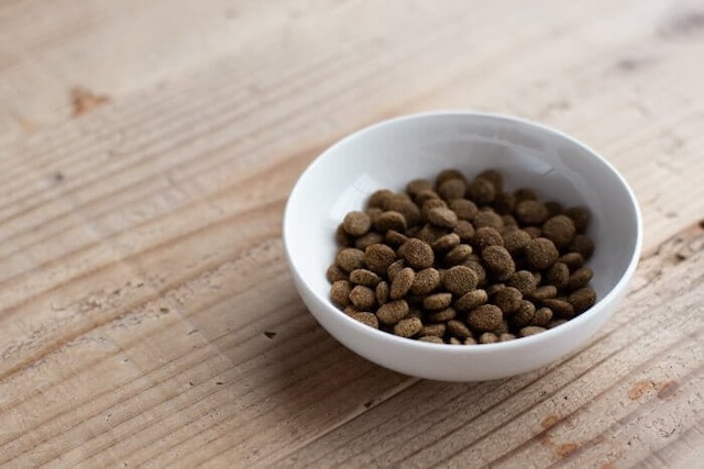 ドッグフード