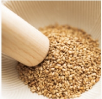 ドッグフード工房_すりごま