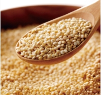 ドッグフード工房_キヌア