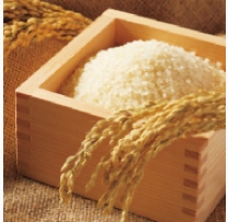 ドッグフード工房_国産うるち米