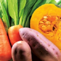 ドッグフード工房_緑黄色野菜