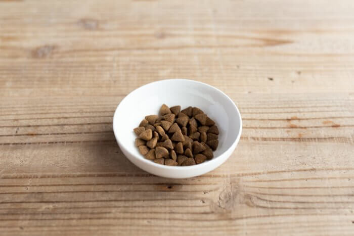 ネルソンズドッグフード