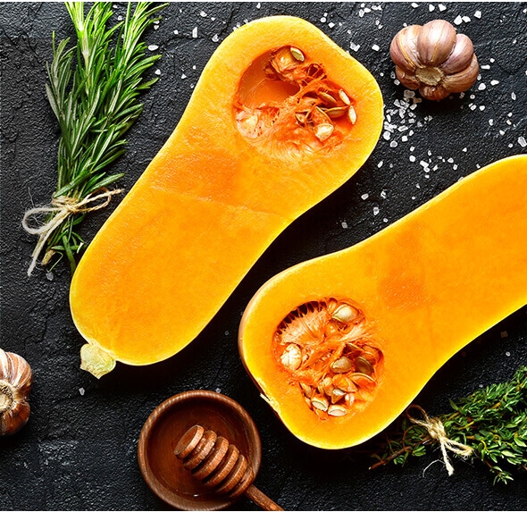 ネルソンズドッグフード_バターナッツスカッシュ