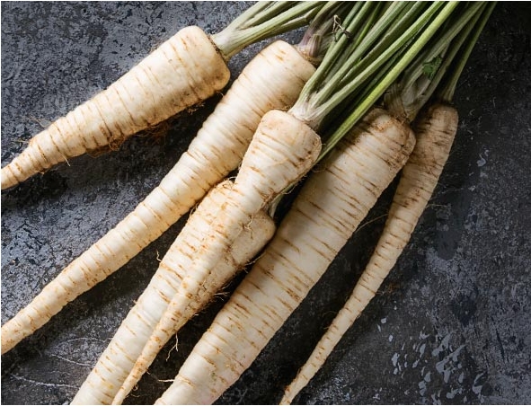 ネルソンズドッグフード_パースニップ