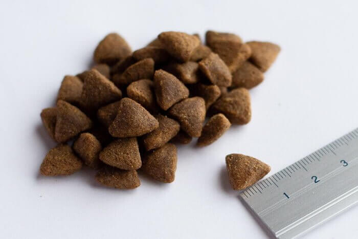 ネルソンズドッグフードの粒の大きさ