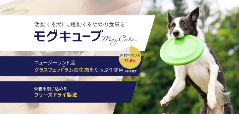 モグキューブ2025