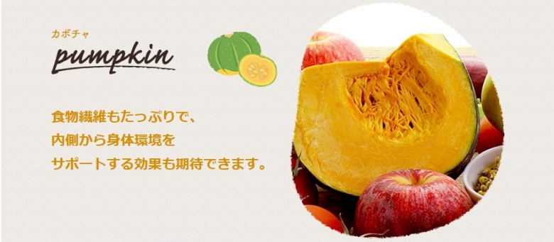 モグワン_カボチャ